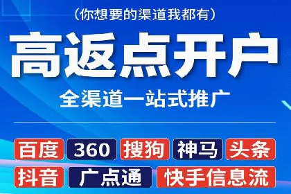 SEM精准广告投放的五大成功案例