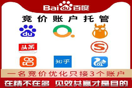 竞价广告的创意与执行：一则经典案例剖析